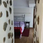 Palmeras * Güimar