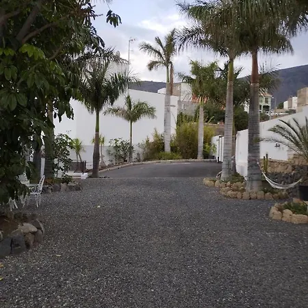 Palmeras *