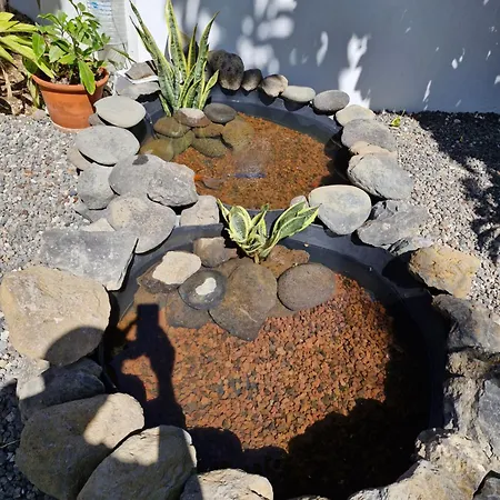 Palmeras * Гуимар