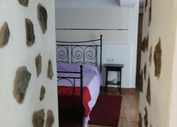 Palmeras * 기마르